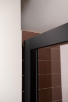 Душевая дверь в нишу Aquanet Pleasure AE60-N-160H200U-BT