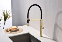 Смеситель для кухни Paulmark Leader Le214101-LG с гибким изливом, светлое золото