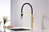 Смеситель для кухни Paulmark Leader Le214101-LG с гибким изливом, светлое золото