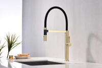 Смеситель для кухни Paulmark Leader Le214101-LG с гибким изливом, светлое золото