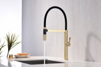 Смеситель для кухни Paulmark Leader Le214101-LG с гибким изливом, светлое золото