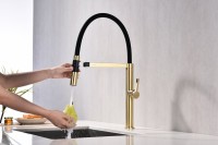 Смеситель для кухни Paulmark Leader Le214101-LG с гибким изливом, светлое золото