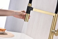 Смеситель для кухни Paulmark Leader Le214101-LG с гибким изливом, светлое золото