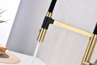 Смеситель для кухни Paulmark Leader Le214101-LG с гибким изливом, светлое золото