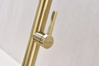 Смеситель для кухни Paulmark Leader Le214101-LG с гибким изливом, светлое золото