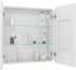 Зеркало-шкаф STWORKI Ольборг МВК079 80, с подсветкой, навесной, белый, прямоугольный, в стиле лофт, с розеткой
