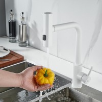 Смеситель для кухни Shevanik S263C белый
