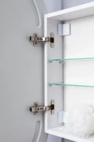 Шкаф с зеркалом в ванную с подсветкой Aquanet Монте 50 белый, с LED подсветкой Шкаф с зеркалом в ванную с подсветкой Aquanet Монте 50 белый, с LED подсветкой