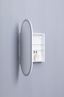 Шкаф с зеркалом в ванную с подсветкой Aquanet Монте 50 белый, с LED подсветкой