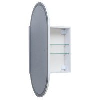 Шкаф с зеркалом в ванную с подсветкой Aquanet Монте 50 белый, с LED подсветкой