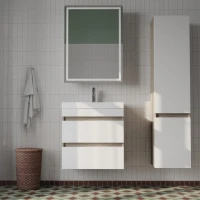 Зеркало-шкаф IDDIS Zodiac 60 с подсветкой