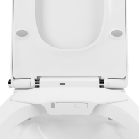 Комплект Lavinia Boho Унитаз подвесной Smart V-Clean 3359101R безободковый, с микролифтом + Инсталляция RelFix 38010010 + Кнопка RelFix 38050802 белая, золотой глянец + Дозатор RelFix 38040010