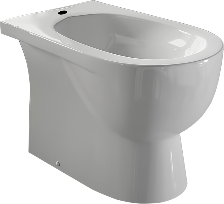 Биде напольное Sanita luxe Art BD.FS/Art/C/WHT.G/S1 глянцевое белое