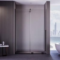 Душевая дверь в нишу Veconi Premium Trento PTDW-50B-140-01-C4 140 см, профиль матовый черный, стекло прозрачное