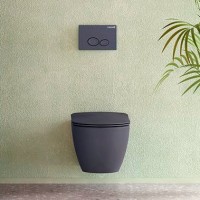Унитаз подвесной Creavit Free FE320.60000 с биде, антрацит
