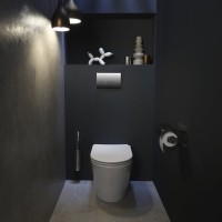 Унитаз приставной напольный Jacob Delafon Rodin+ EDAA102-00 с крышкой