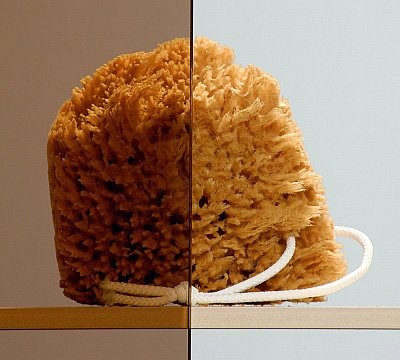 Душевой уголок Radaway Treviso DW+S 80x80 коричневое стекло