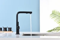 Смеситель для кухни Paulmark Neo Ne214419-AN антрацит