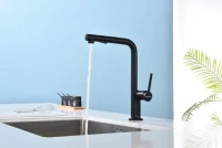 Смеситель для кухни Paulmark Neo Ne214419-AN антрацит