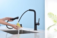 Смеситель для кухни Paulmark Neo Ne214419-AN антрацит Смеситель для кухни Paulmark Neo Ne214419-AN антрацит