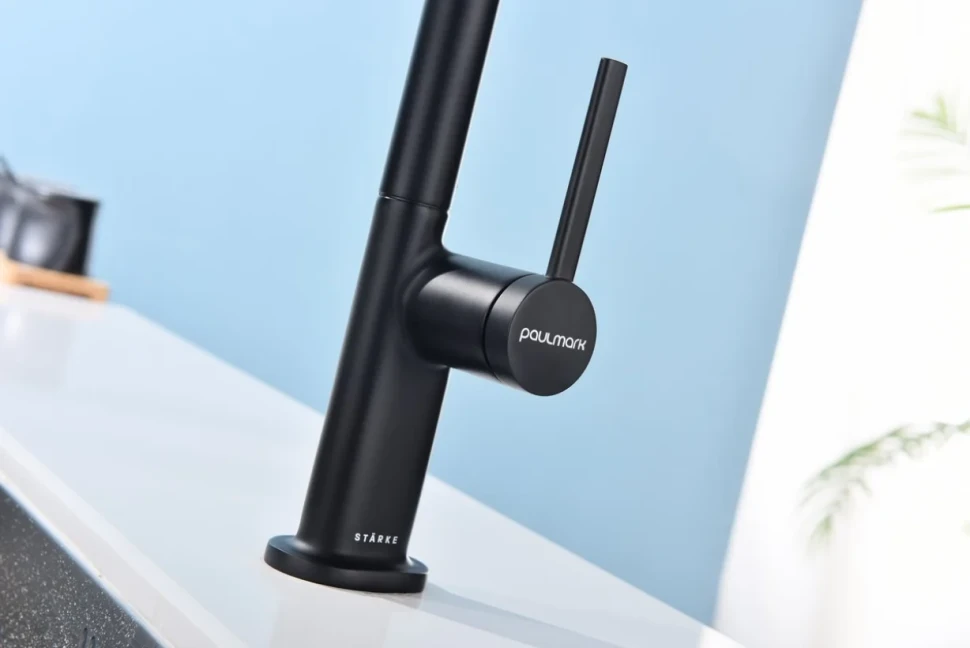 Смеситель для кухни Paulmark Neo Ne214419-AN антрацит