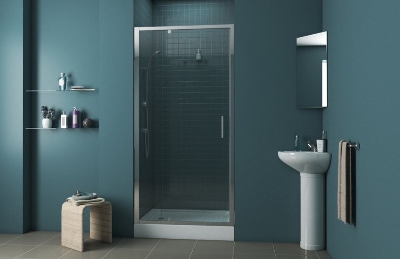 Душевая дверь в нишу Bravat Line BD100.4112A 100х200, распашная