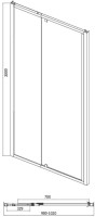 Душевая дверь в нишу Bravat Line BD100.4112A 100х200, распашная