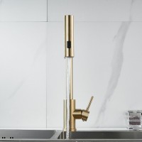 Смеситель для кухни Shevanik S263G золотой сатин