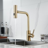 Смеситель для кухни Shevanik S263G золотой сатин