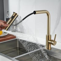 Смеситель для кухни Shevanik S263G золотой сатин