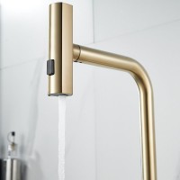 Смеситель для кухни Shevanik S263G золотой сатин