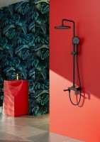 Душевая стойка Raglo R03.24.06 черный