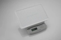 Душевая стойка BELZ B658 B24658-8 матовая белая Душевая стойка BELZ B658 B24658-8 матовая белая
