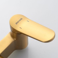 Душевая стойка Shevanik S4336G