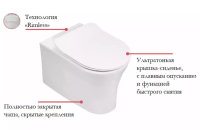 Комплект Jacob Delafon Aleo E21730RU-00 подвесной унитаз + инсталляция + кнопка