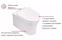 Комплект Jacob Delafon Aleo E21730RU-00 подвесной унитаз + инсталляция + кнопка Комплект Jacob Delafon Aleo E21730RU-00 подвесной унитаз + инсталляция + кнопка