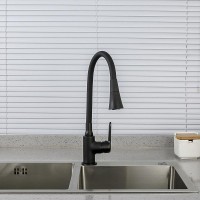 Смеситель для кухни Frap F4417-6 черный