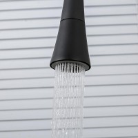 Смеситель для кухни Frap F4417-6 черный