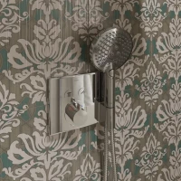 Душевая лейка Hansgrohe Raindance Select S 120 3jet P