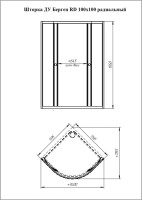 Душевой уголок Radomir Берген RD 100х100 см, профиль матовый хром, стекло прозрачное