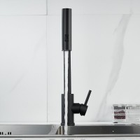 Смеситель для кухни Shevanik S263H черный