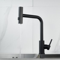 Смеситель для кухни Shevanik S263H черный