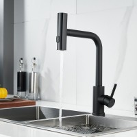Смеситель для кухни Shevanik S263H черный