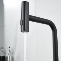 Смеситель для кухни Shevanik S263H черный