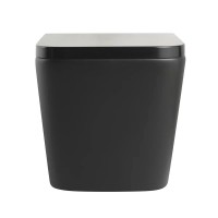 Унитаз подвесной Veconi Pulo VPU-51TB безободковый, с микролифтом, матовый черный