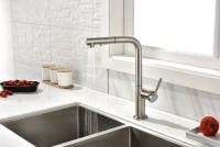Смеситель для кухни Paulmark Neo Ne214419-BS брашированная сталь