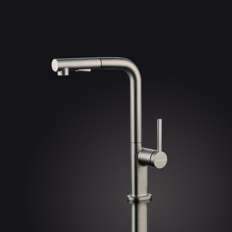 Смеситель для кухни Paulmark Neo Ne214419-BS брашированная сталь