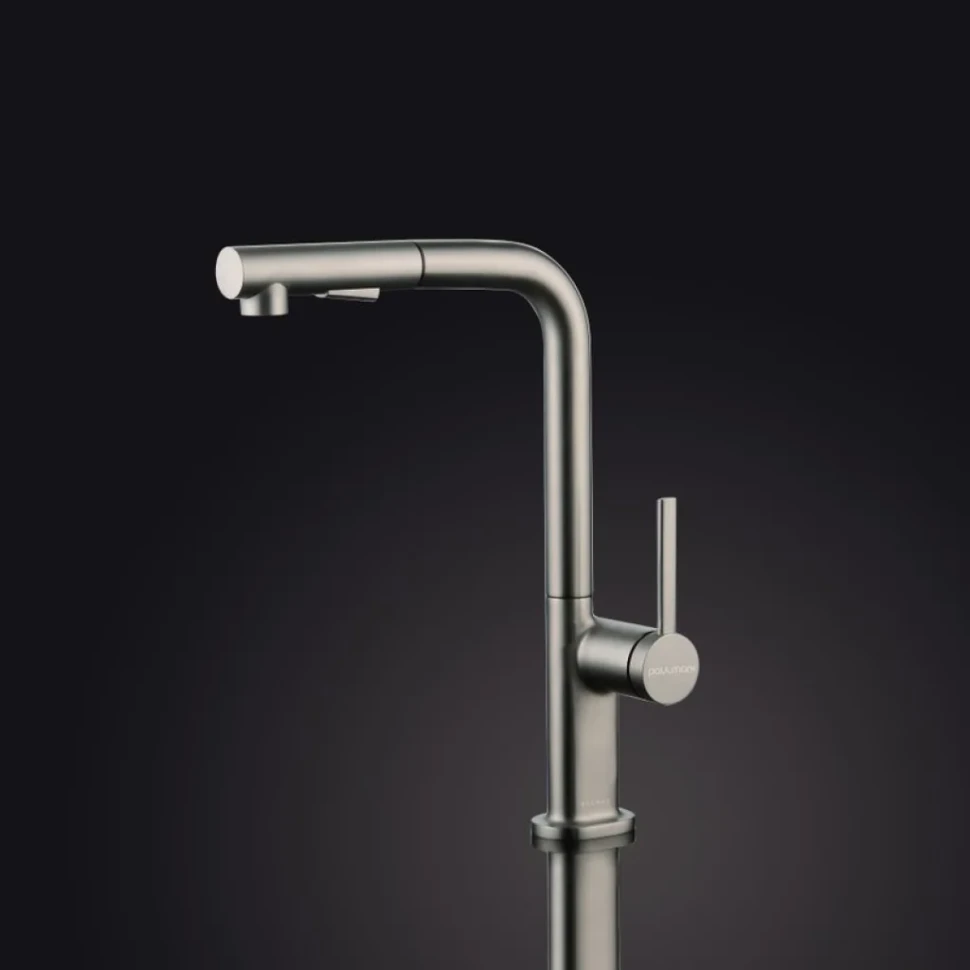 Смеситель для кухни Paulmark Neo Ne214419-BS брашированная сталь