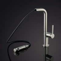 Смеситель для кухни Paulmark Neo Ne214419-BS брашированная сталь