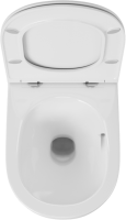 Комплект Унитаз подвесной Owl 1975 Vind TOWLT190302 безободковый + Инсталляция Grohe Rapid SL 38772001 3 в 1 с кнопкой смыва + Шумоизоляция 37131000